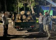 Polsek Banyuputih Dan PHPA Baluran Gagalkan Illegal Logging, Begini Kronologinya
